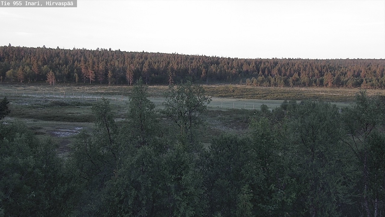 Weather Camera Image Väg 955 Enare, Hirvaspää, Inari, Lappi