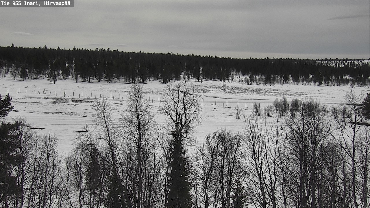 Weather Camera Image Väg 955 Enare, Hirvaspää, Inari, Lappi