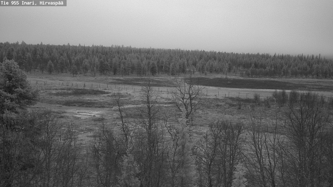 Kelikamerat Kuva Tie 955 Inari, Hirvaspää, Inari, Lappi