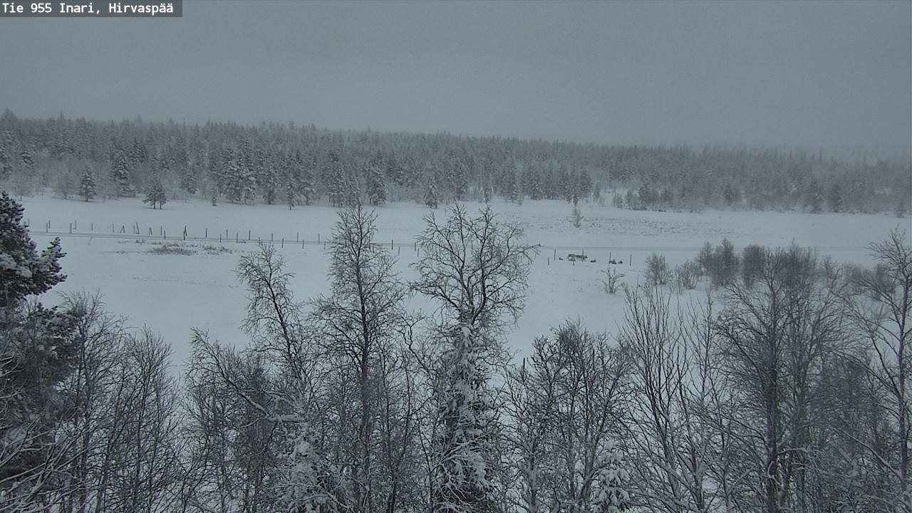 Kelikamerat Kuva Tie 955 Inari, Hirvaspää, Inari, Lappi