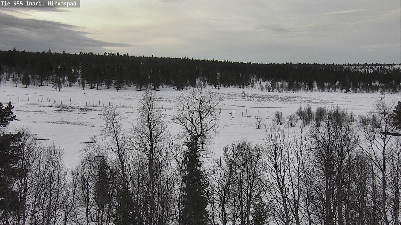 Weather Camera Image Väg 955 Enare, Hirvaspää, Inari, Lappi