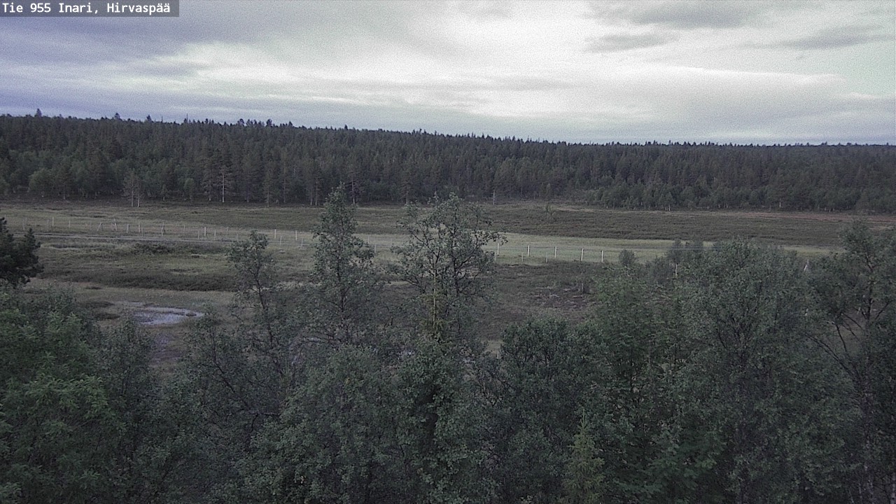 Kelikamerat Kuva Tie 955 Inari, Hirvaspää, Inari, Lappi