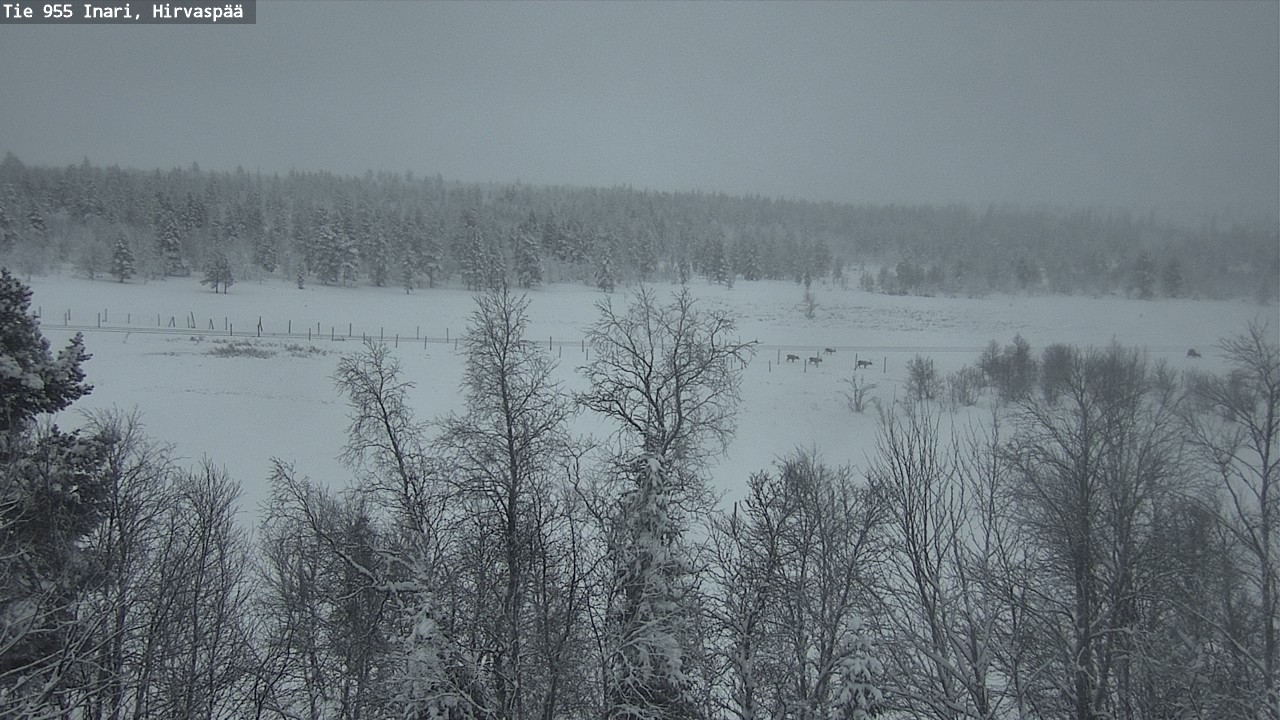 Kelikamerat Kuva Tie 955 Inari, Hirvaspää, Inari, Lappi