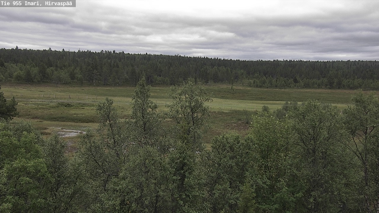 Kelikamerat Kuva Tie 955 Inari, Hirvaspää, Inari, Lappi