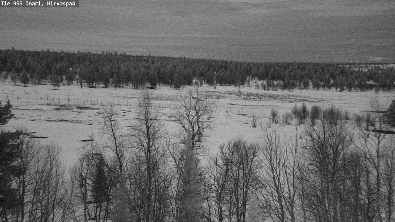 Weather Camera Image Road 955 Inari, Hirvaspää, Inari, Lappi