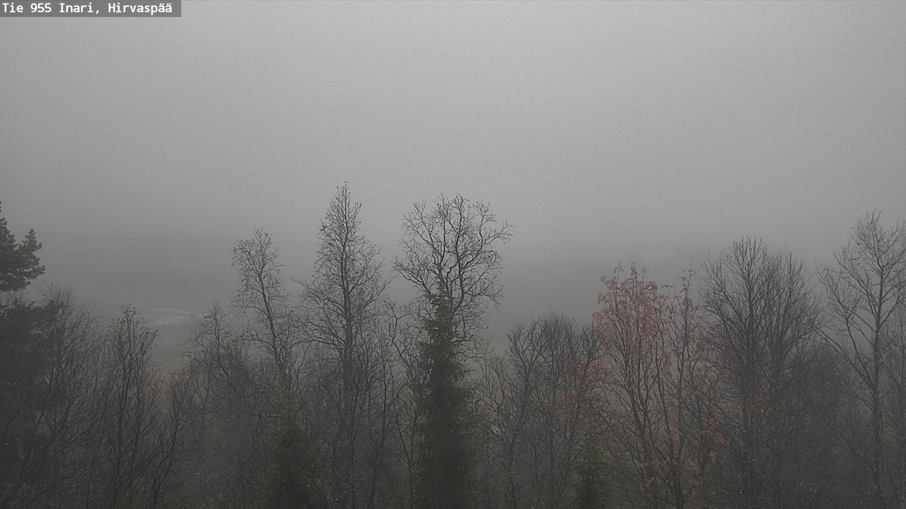 Kelikamerat Kuva Tie 955 Inari, Hirvaspää, Inari, Lappi