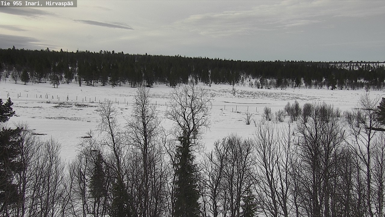 Weather Camera Image Väg 955 Enare, Hirvaspää, Inari, Lappi