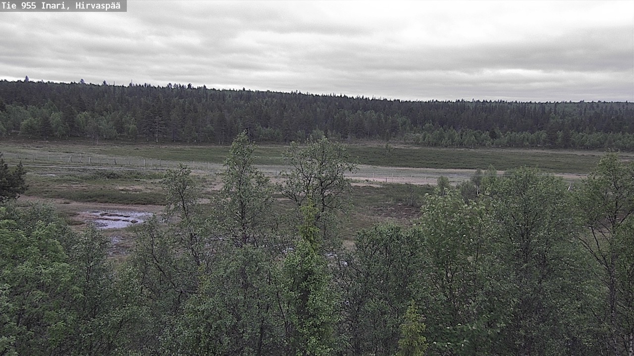 Kelikamerat Kuva Tie 955 Inari, Hirvaspää, Inari, Lappi