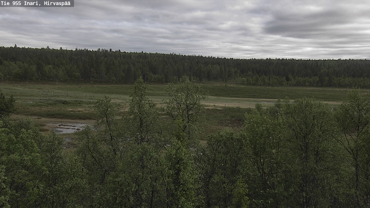 Kelikamerat Kuva Tie 955 Inari, Hirvaspää, Inari, Lappi