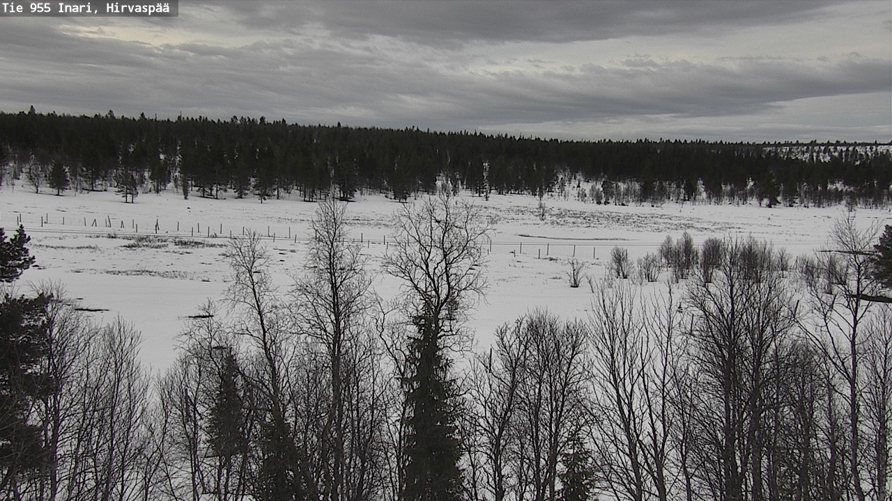Weather Camera Image Väg 955 Enare, Hirvaspää, Inari, Lappi