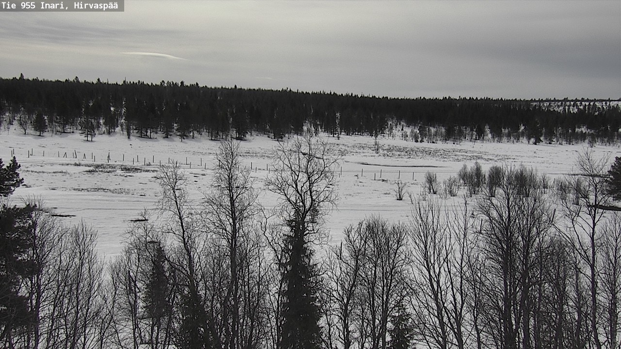 Weather Camera Image Väg 955 Enare, Hirvaspää, Inari, Lappi