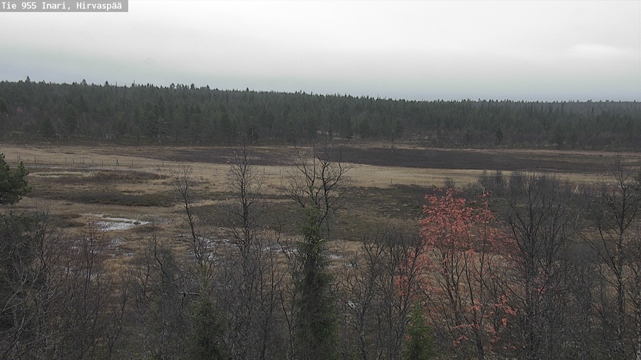 Kelikamerat Kuva Tie 955 Inari, Hirvaspää, Inari, Lappi