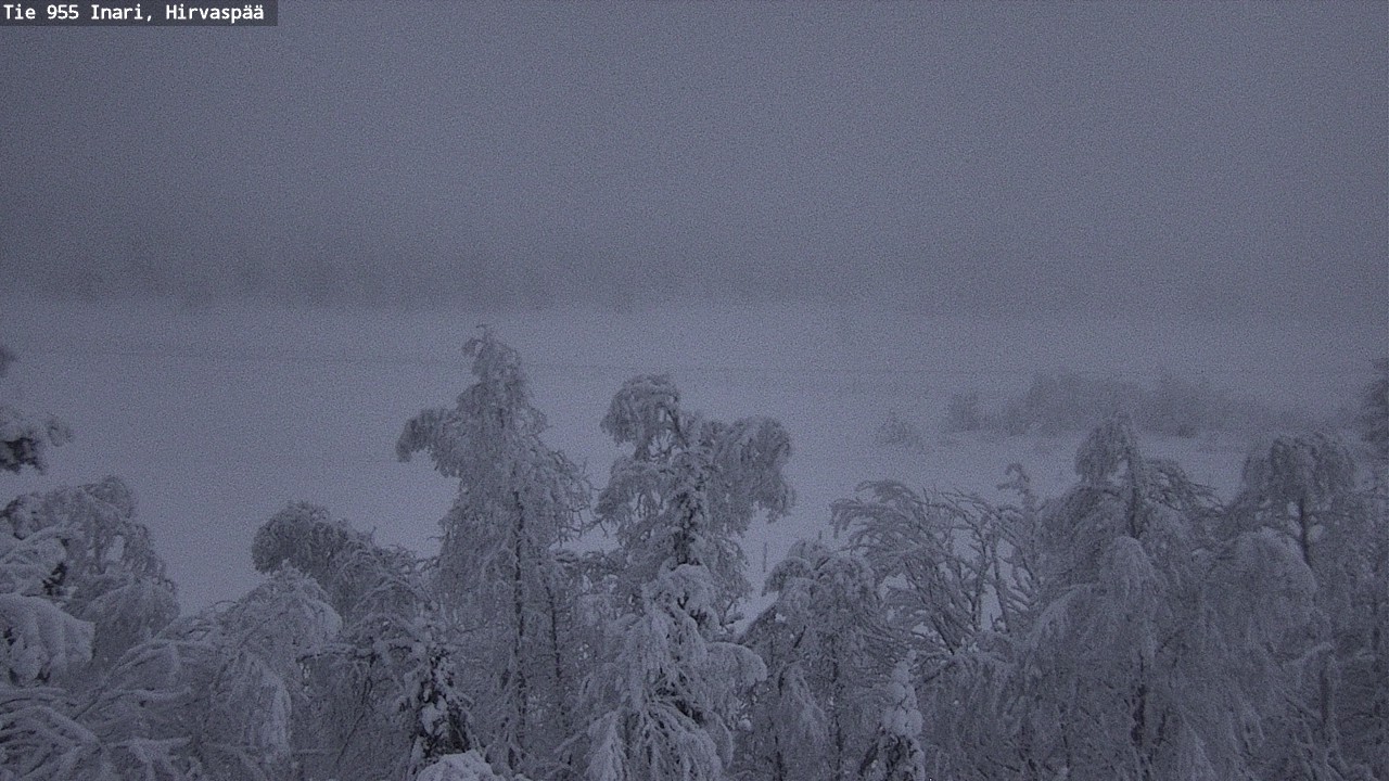 Kelikamerat Kuva Tie 955 Inari, Hirvaspää, Inari, Lappi