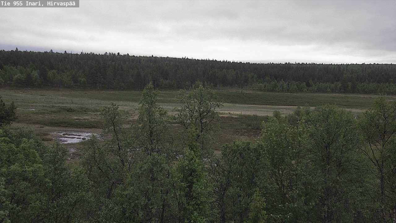 Weather Camera Image Road 955 Inari, Hirvaspää, Inari, Lappi