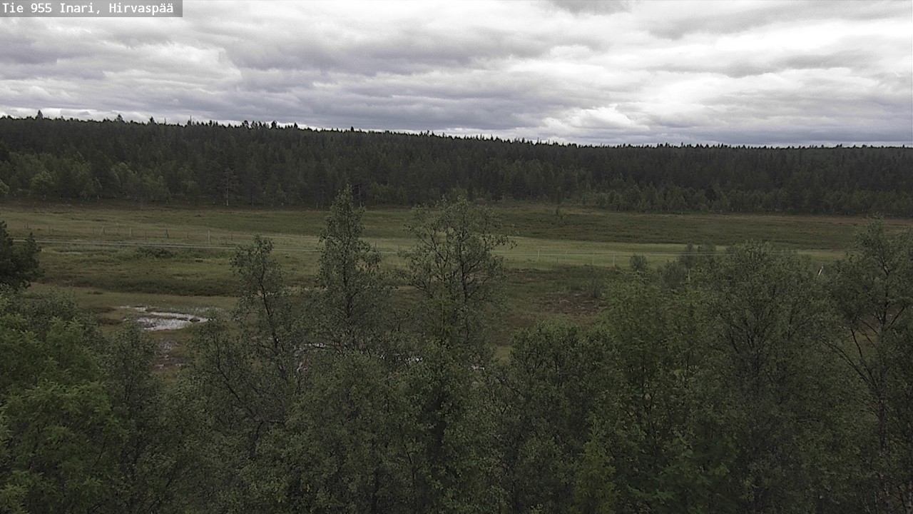 Kelikamerat Kuva Tie 955 Inari, Hirvaspää, Inari, Lappi