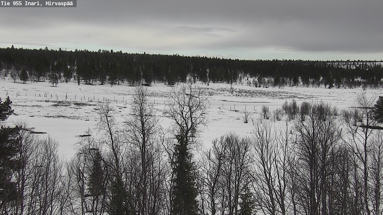 Weather Camera Image Väg 955 Enare, Hirvaspää, Inari, Lappi