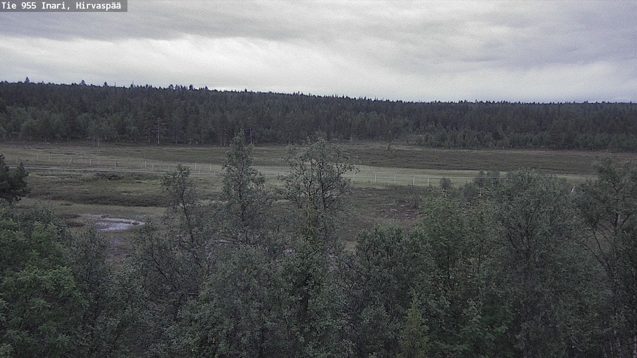 Kelikamerat Kuva Tie 955 Inari, Hirvaspää, Inari, Lappi