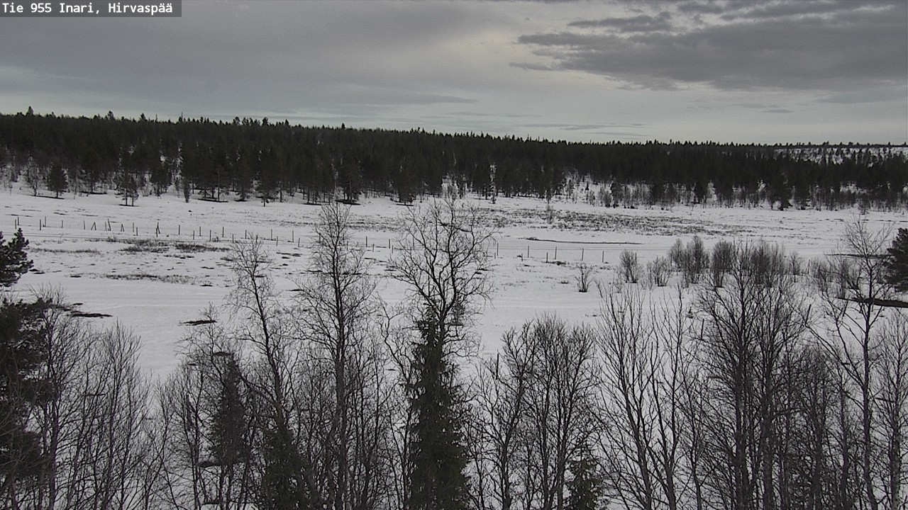 Weather Camera Image Väg 955 Enare, Hirvaspää, Inari, Lappi