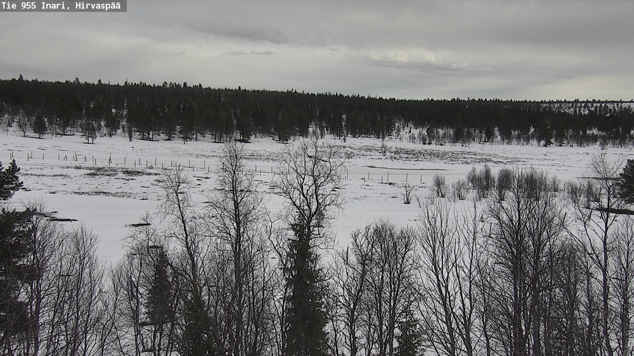 Weather Camera Image Väg 955 Enare, Hirvaspää, Inari, Lappi