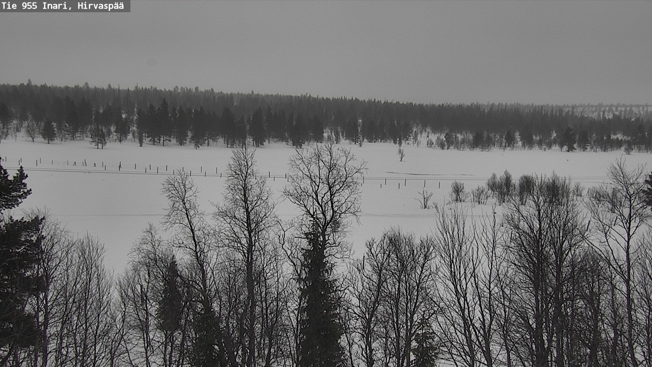 Weather Camera Image Road 955 Inari, Hirvaspää, Inari, Lappi