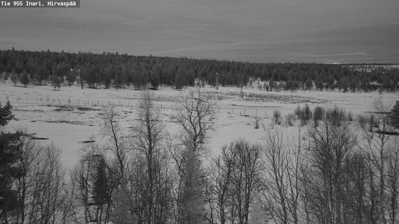 Weather Camera Image Road 955 Inari, Hirvaspää, Inari, Lappi