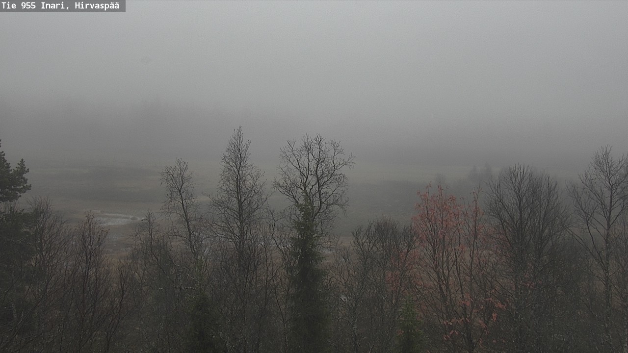 Weather Camera Image Road 955 Inari, Hirvaspää, Inari, Lappi
