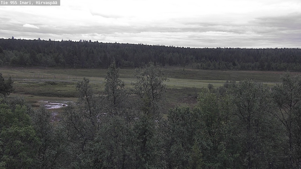 Kelikamerat Kuva Tie 955 Inari, Hirvaspää, Inari, Lappi