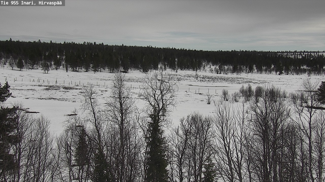 Weather Camera Image Väg 955 Enare, Hirvaspää, Inari, Lappi