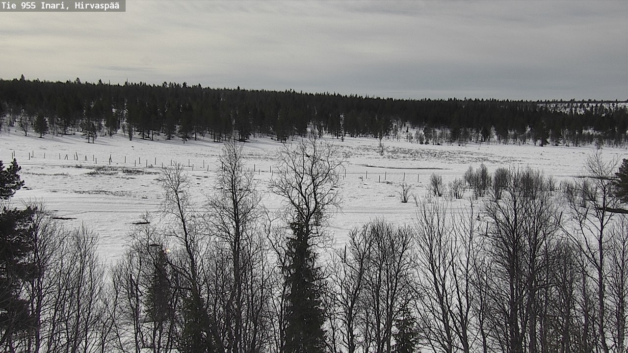 Weather Camera Image Väg 955 Enare, Hirvaspää, Inari, Lappi