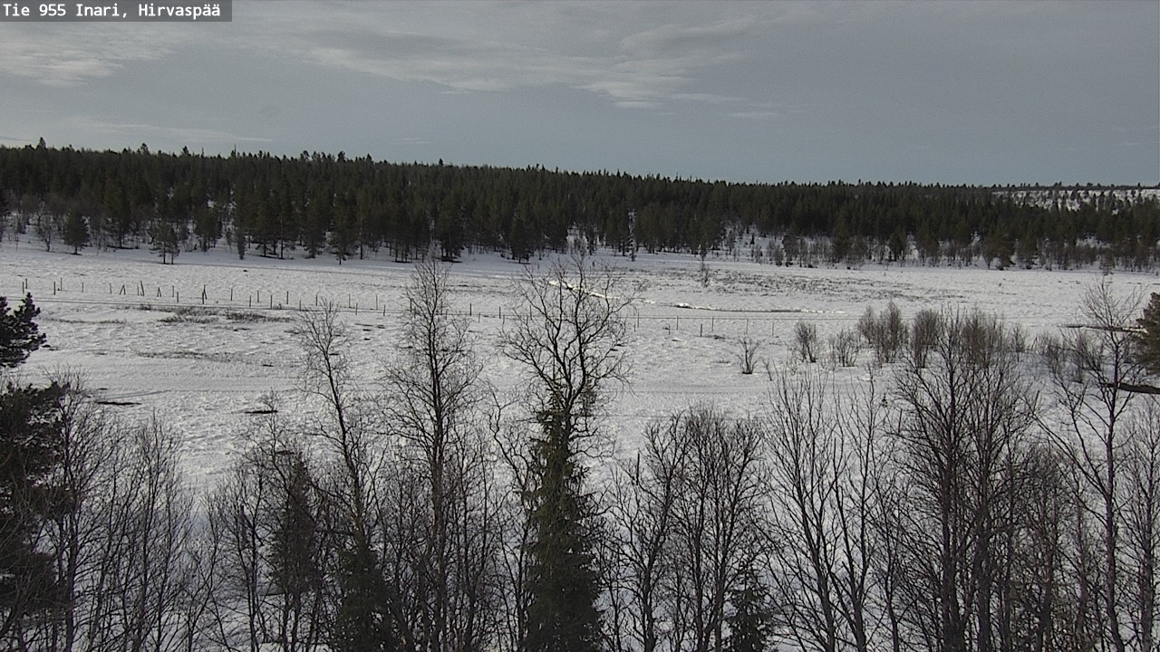Weather Camera Image Väg 955 Enare, Hirvaspää, Inari, Lappi