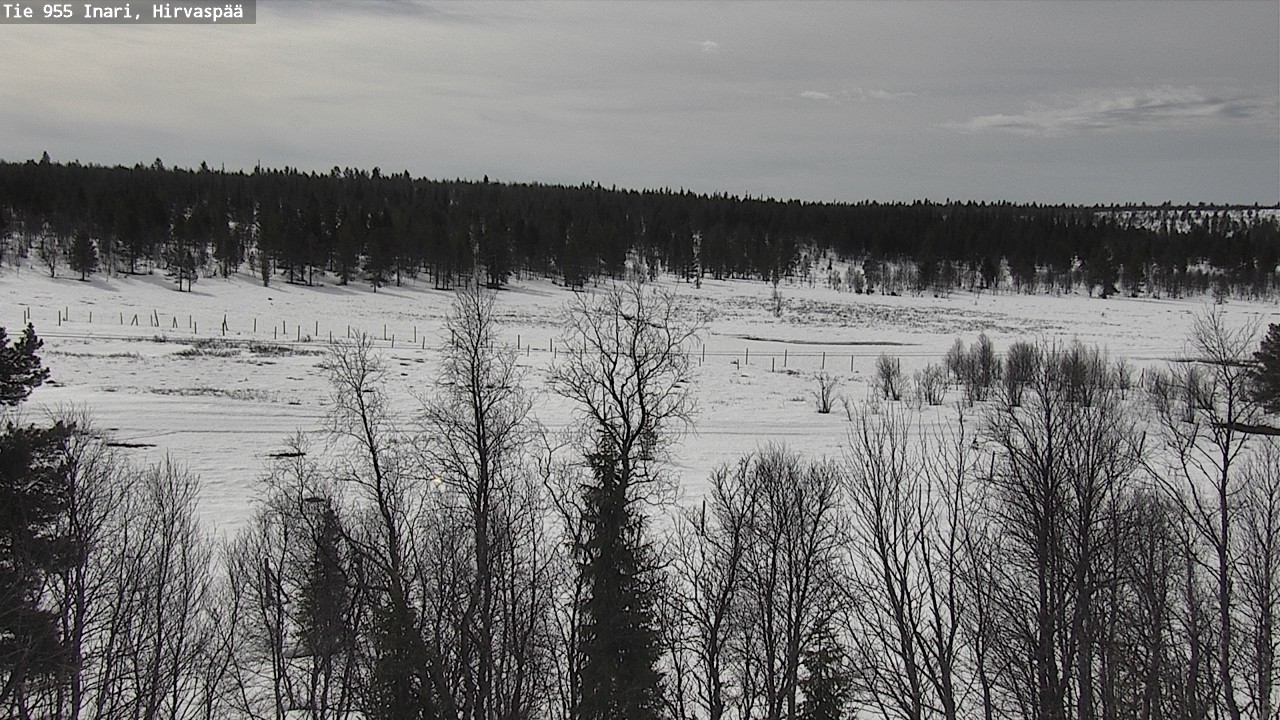 Weather Camera Image Väg 955 Enare, Hirvaspää, Inari, Lappi