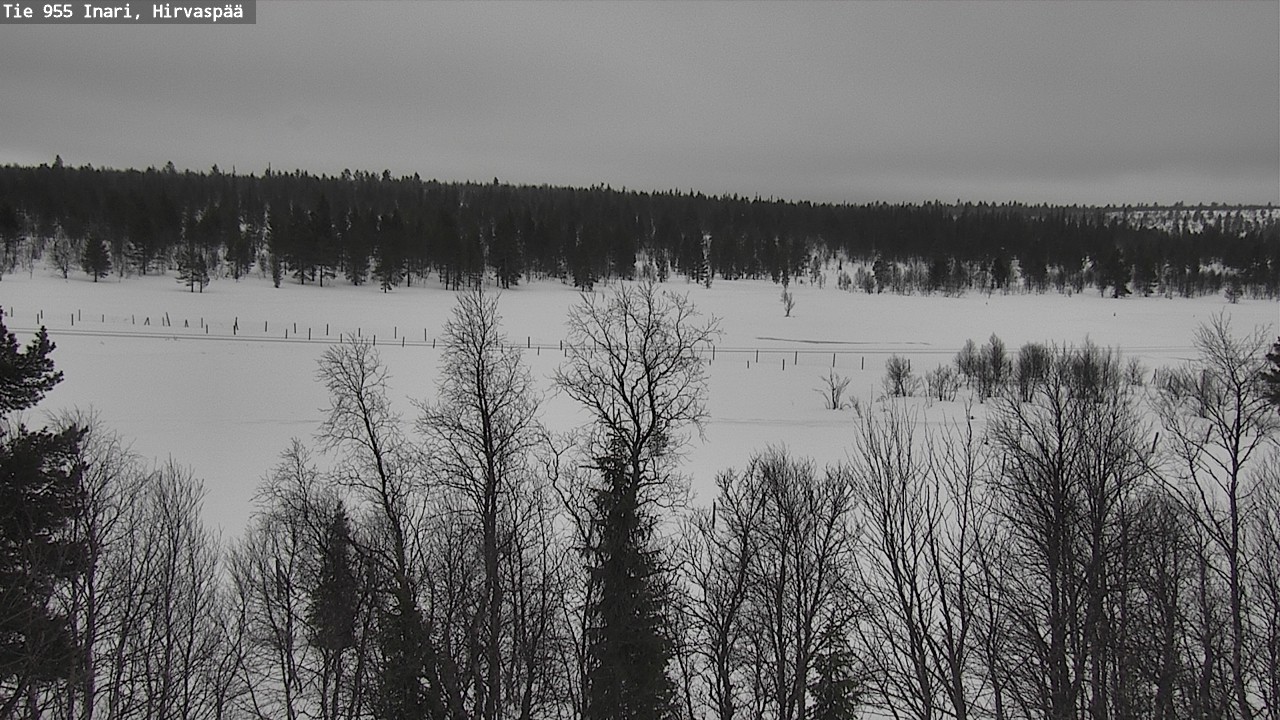 Kelikamerat Kuva Tie 955 Inari, Hirvaspää, Inari, Lappi