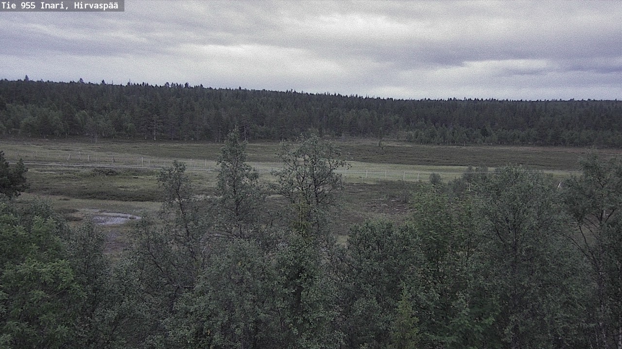 Kelikamerat Kuva Tie 955 Inari, Hirvaspää, Inari, Lappi