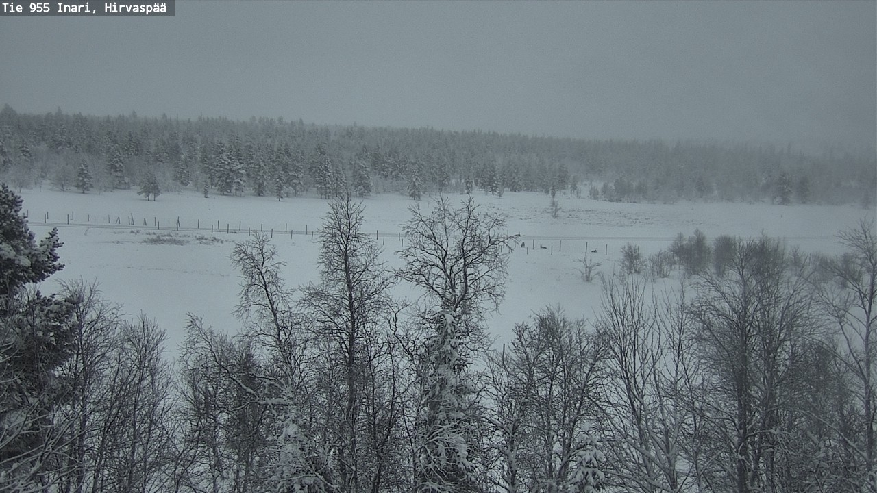 Kelikamerat Kuva Tie 955 Inari, Hirvaspää, Inari, Lappi