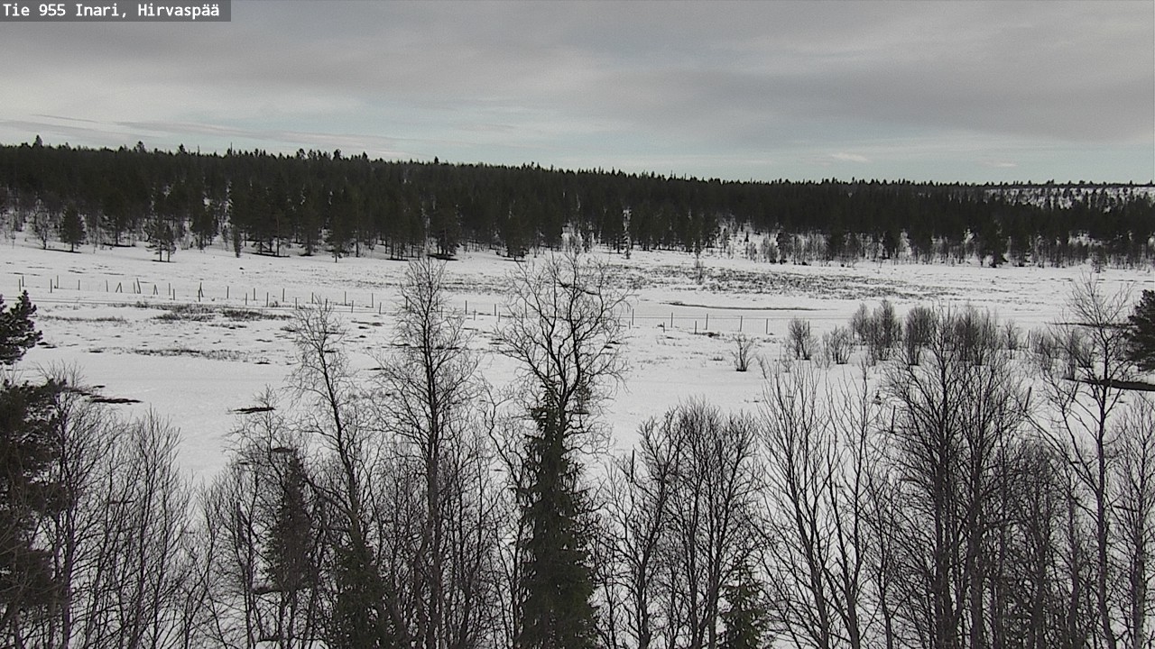 Weather Camera Image Väg 955 Enare, Hirvaspää, Inari, Lappi