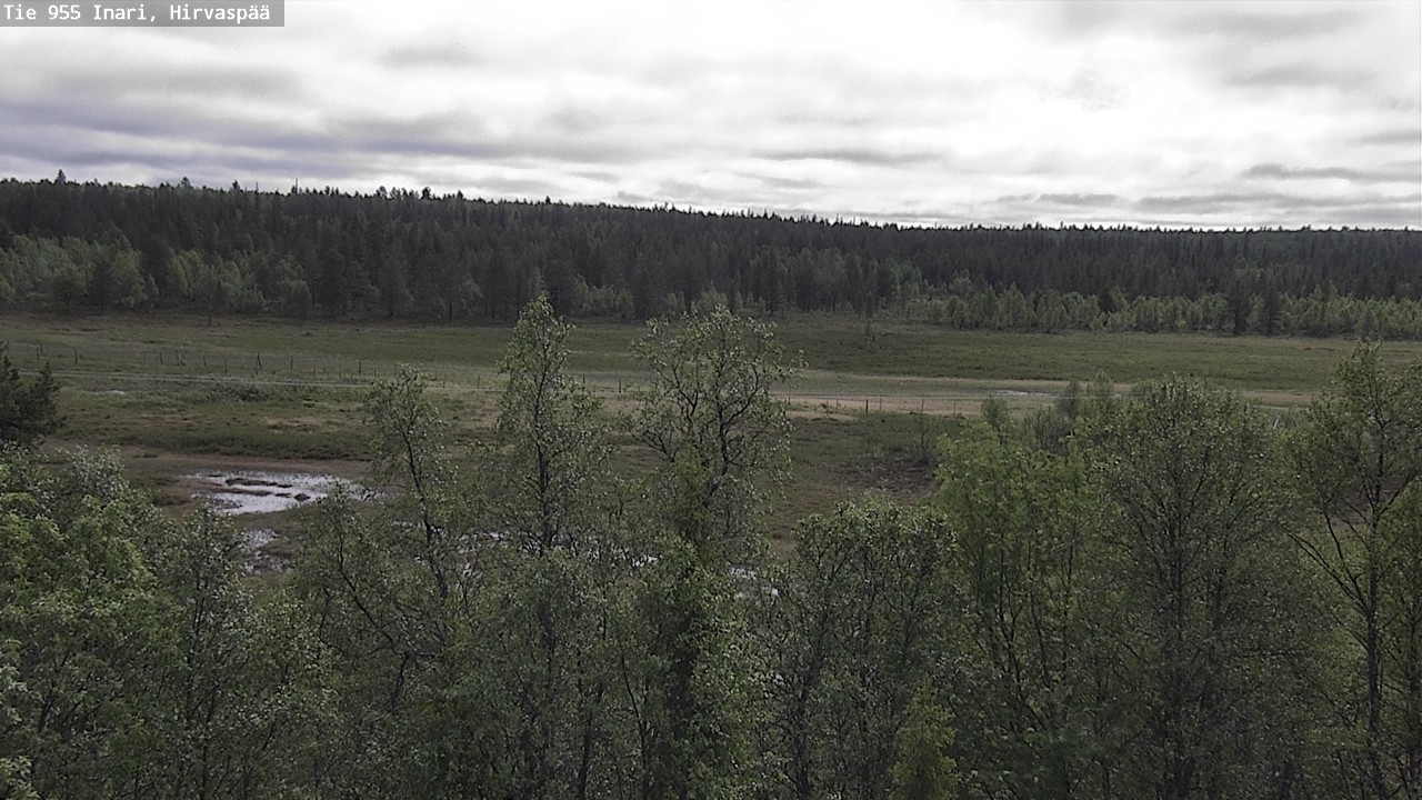Kelikamerat Kuva Tie 955 Inari, Hirvaspää, Inari, Lappi
