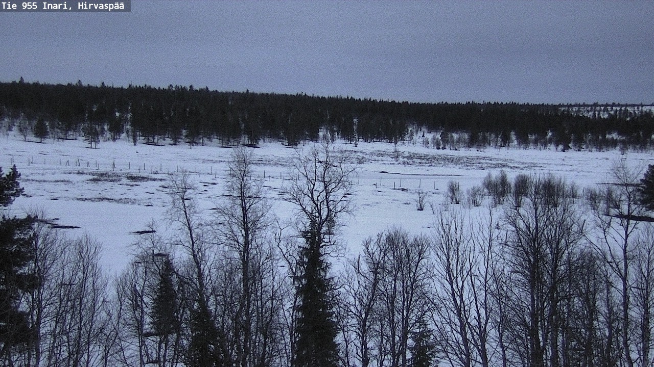 Weather Camera Image Road 955 Inari, Hirvaspää, Inari, Lappi