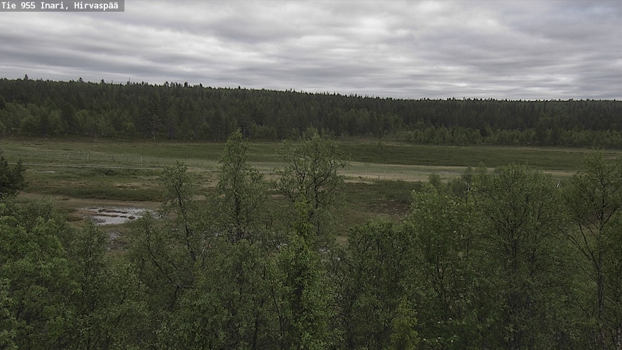 Kelikamerat Kuva Tie 955 Inari, Hirvaspää, Inari, Lappi