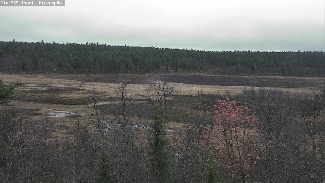 Weather Camera Image Road 955 Inari, Hirvaspää, Inari, Lappi