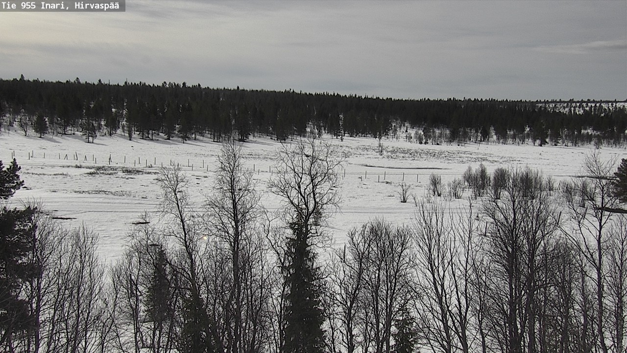 Weather Camera Image Väg 955 Enare, Hirvaspää, Inari, Lappi
