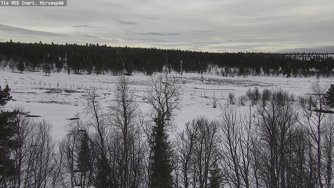 Weather Camera Image Väg 955 Enare, Hirvaspää, Inari, Lappi