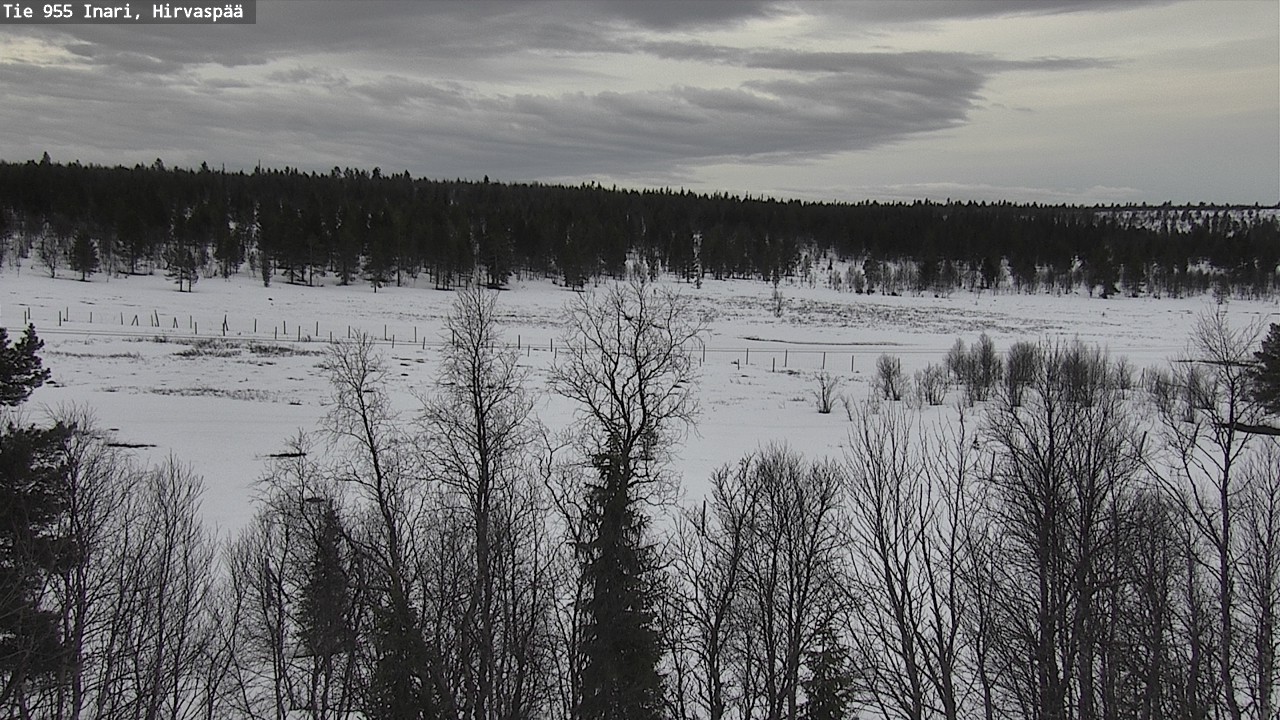 Weather Camera Image Väg 955 Enare, Hirvaspää, Inari, Lappi
