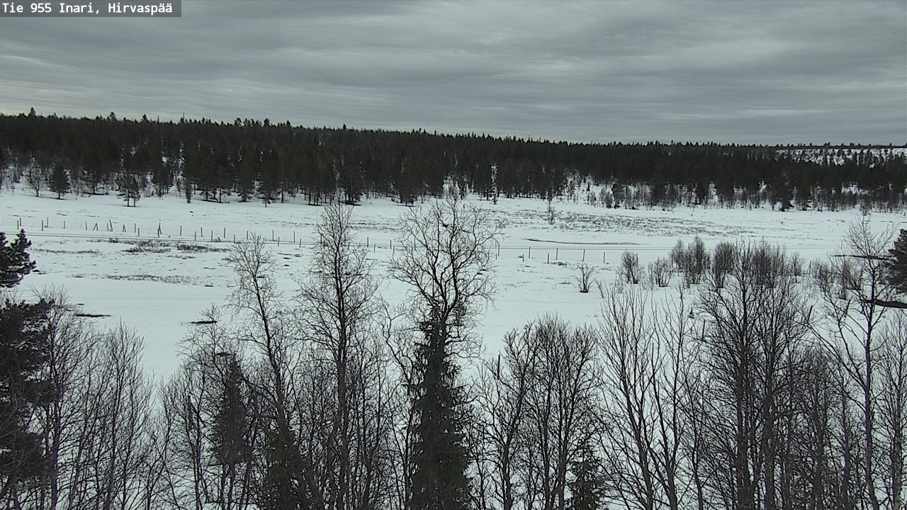 Weather Camera Image Väg 955 Enare, Hirvaspää, Inari, Lappi