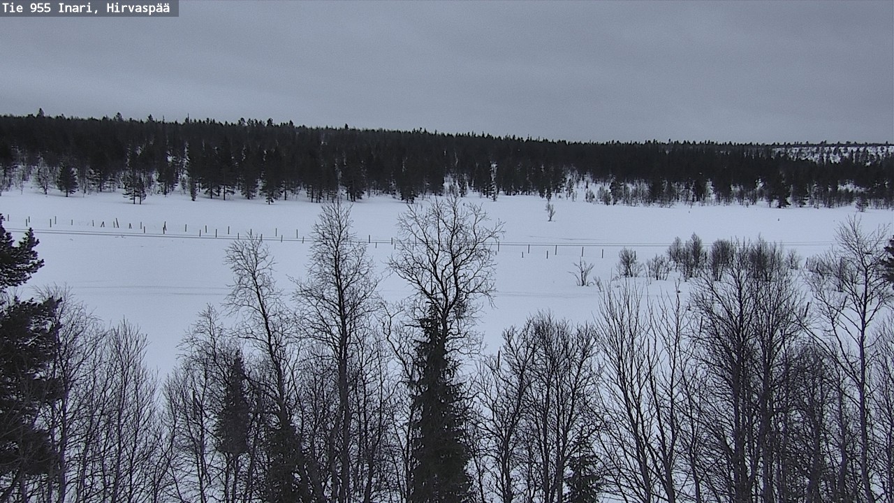 Kelikamerat Kuva Tie 955 Inari, Hirvaspää, Inari, Lappi