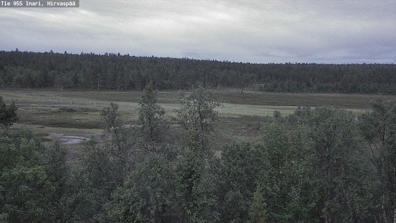 Kelikamerat Kuva Tie 955 Inari, Hirvaspää, Inari, Lappi