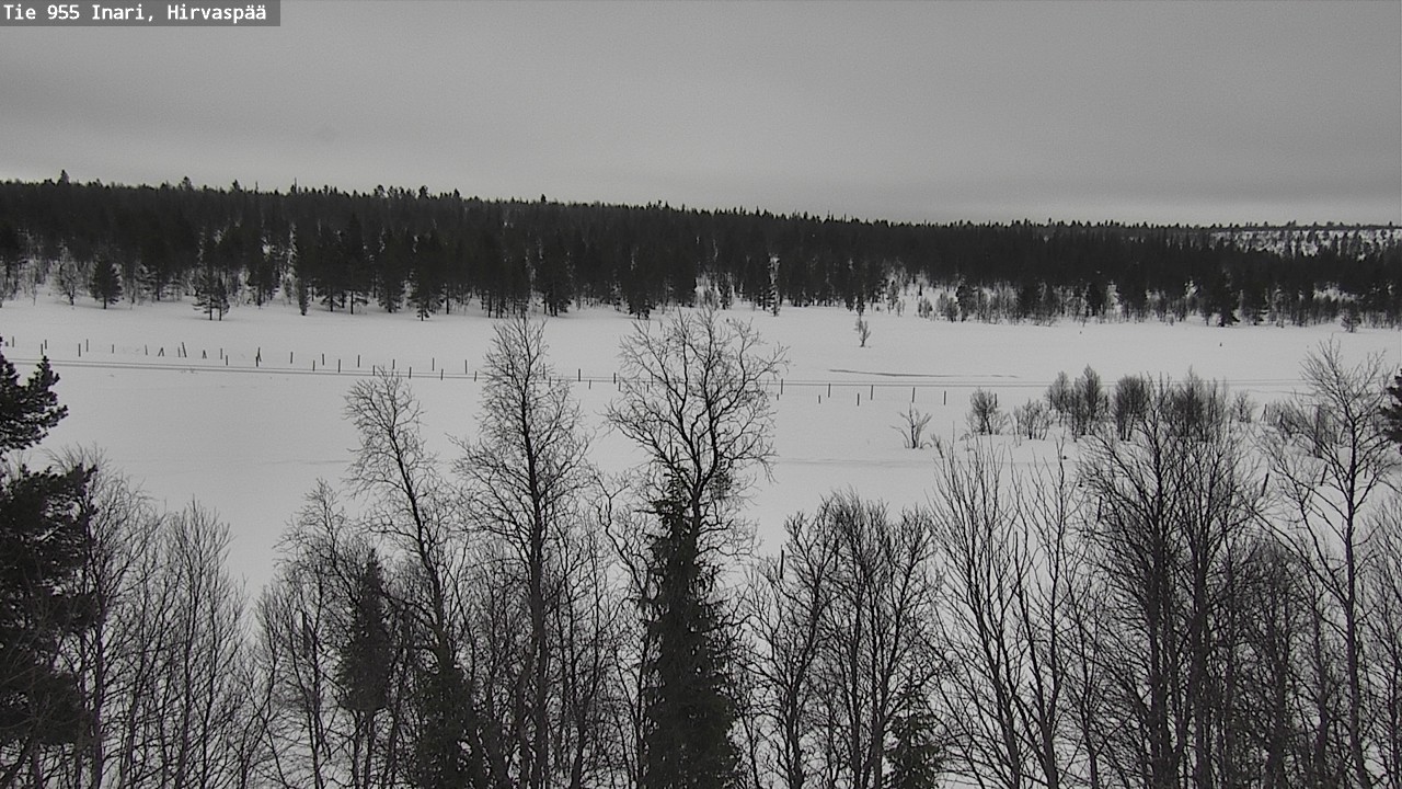Kelikamerat Kuva Tie 955 Inari, Hirvaspää, Inari, Lappi