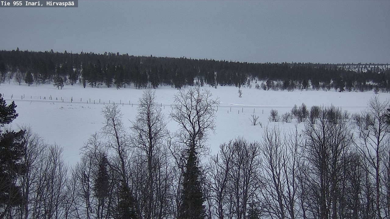 Weather Camera Image Road 955 Inari, Hirvaspää, Inari, Lappi
