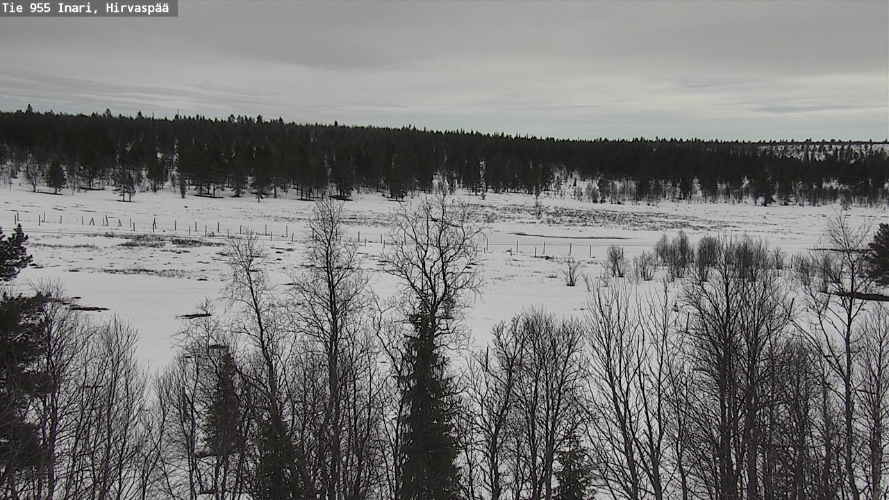 Weather Camera Image Väg 955 Enare, Hirvaspää, Inari, Lappi