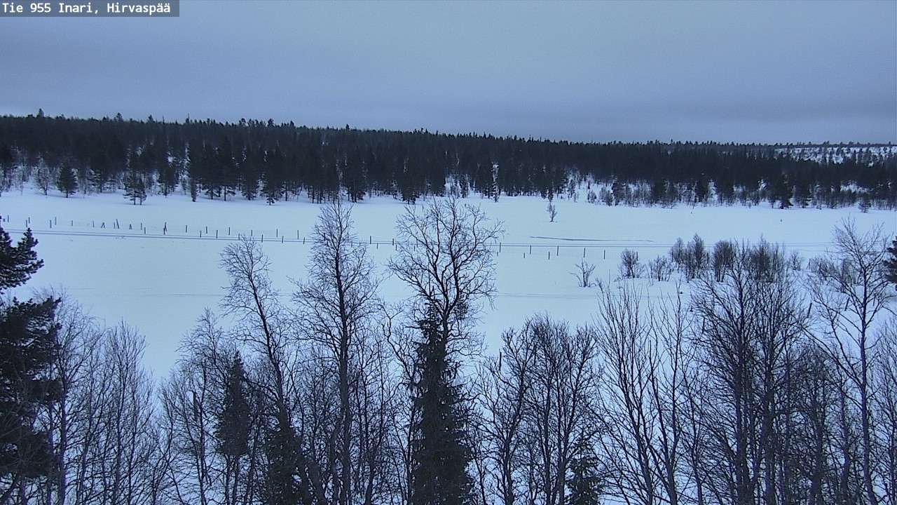 Kelikamerat Kuva Tie 955 Inari, Hirvaspää, Inari, Lappi