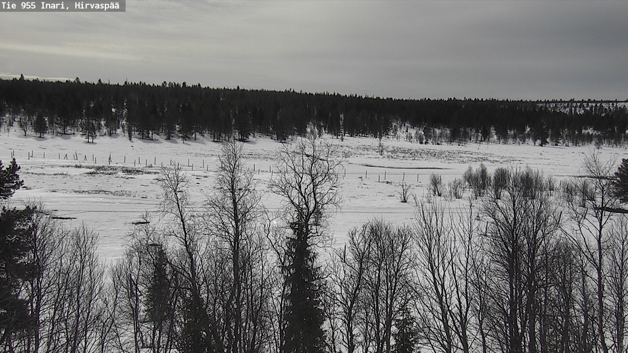 Weather Camera Image Väg 955 Enare, Hirvaspää, Inari, Lappi